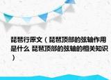 琵琶行原文（琵琶顶部的弦轴作用是什么 琵琶顶部的弦轴的相关知识）