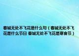 春城无处不飞花是什么句（春城无处不飞花是什么节日 春城无处不飞花是寒食节）