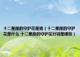 十二星座的守护花是谁（十二星座的守护花是什么 十二星座的守护花分别是哪些）