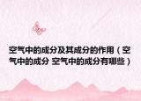 空气中的成分及其成分的作用（空气中的成分 空气中的成分有哪些）