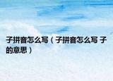子拼音怎么写（子拼音怎么写 子的意思）