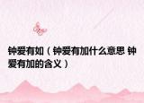 钟爱有如（钟爱有加什么意思 钟爱有加的含义）