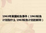 1963年英国鲶鱼事件（1963鲶鱼计划指什么 1963鲶鱼计划的解释）