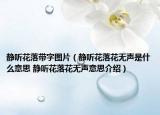 静听花落带字图片（静听花落花无声是什么意思 静听花落花无声意思介绍）