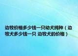 边牧价格多少钱一只幼犬纯种（边牧犬多少钱一只 边牧犬的价格）