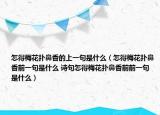 怎得梅花扑鼻香的上一句是什么（怎得梅花扑鼻香前一句是什么 诗句怎得梅花扑鼻香前前一句是什么）