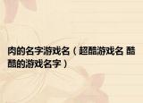 肉的名字游戏名（超酷游戏名 酷酷的游戏名字）
