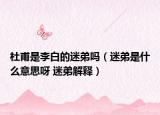 杜甫是李白的迷弟吗（迷弟是什么意思呀 迷弟解释）