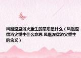 凤凰涅盘浴火重生的意思是什么（凤凰涅盘浴火重生什么意思 凤凰涅盘浴火重生的含义）