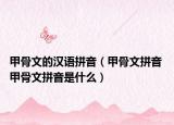 甲骨文的汉语拼音（甲骨文拼音 甲骨文拼音是什么）