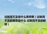 过犹而不及是什么意思呢（过犹而不及的意思是什么 过犹而不及的解释）