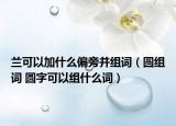 兰可以加什么偏旁并组词（圆组词 圆字可以组什么词）