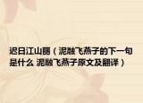 迟日江山丽（泥融飞燕子的下一句是什么 泥融飞燕子原文及翻译）