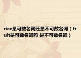 rice是可数名词还是不可数名词（fruit是可数名词吗 是不可数名词）