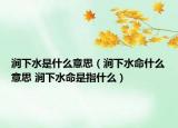 涧下水是什么意思（涧下水命什么意思 涧下水命是指什么）