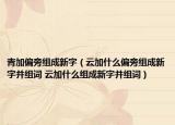 青加偏旁组成新字（云加什么偏旁组成新字并组词 云加什么组成新字并组词）