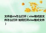 文件是xls怎么打开（xlsx格式的文件怎么打开 如何打开xlsx格式文件）