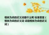 相依为命的近义词是什么呢 标准答案（相依为命的近义词 词语相依为命的近义词）