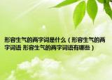 形容生气的两字词是什么（形容生气的两字词语 形容生气的两字词语有哪些）