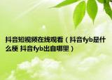 抖音短视频在线观看（抖音fyb是什么梗 抖音fyb出自哪里）