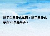 鸡子白是什么东西（鸡子是什么东西 什么是鸡子）