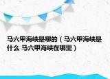 马六甲海峡是哪的（马六甲海峡是什么 马六甲海峡在哪里）
