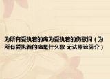 为所有爱执着的痛为爱执着的伤歌词（为所有爱执着的痛是什么歌 无法原谅简介）