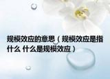 规模效应的意思（规模效应是指什么 什么是规模效应）