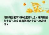 炫舞舞团名字和职位名称大全（炫舞舞团名字霸气高冷 炫舞舞团名字霸气高冷精选）