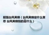 超强台风黄蜂（台风黄蜂是什么意思 台风黄蜂指的是什么）