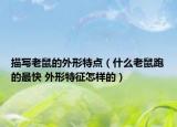 描写老鼠的外形特点（什么老鼠跑的最快 外形特征怎样的）