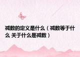 减数的定义是什么（减数等于什么 关于什么是减数）