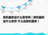 接机服务是什么意思啊（接机服务是什么意思 什么是接机服务）