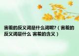 害羞的反义词是什么词呢?（害羞的反义词是什么 害羞的含义）