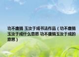 功不唐捐 玉汝于成书法作品（功不唐捐玉汝于成什么意思 功不唐捐玉汝于成的意思）