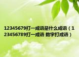 12345679打一成语是什么成语（123456789打一成语 数字打成语）