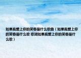 如果我爱上你的笑容是什么歌曲（如果我爱上你的笑容是什么歌 歌词如果我爱上你的笑容是什么歌）