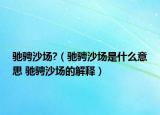 驰骋沙场?（驰骋沙场是什么意思 驰骋沙场的解释）