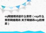 cq网络用语是什么意思（cqy什么意思网络用语 关于网络语cqy的意思）