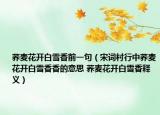 荞麦花开白雪香前一句（宋词村行中荞麦花开白雪香香的意思 荞麦花开白雪香释义）