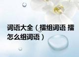 词语大全（擂组词语 擂怎么组词语）