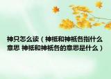 神只怎么读（神祗和神祇各指什么意思 神祗和神祇各的意思是什么）