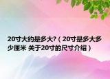 20寸大约是多大?（20寸是多大多少厘米 关于20寸的尺寸介绍）