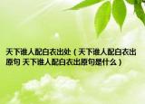 天下谁人配白衣出处（天下谁人配白衣出原句 天下谁人配白衣出原句是什么）