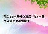 汽车bdm是什么意思（bdm是什么意思 bdm解释）