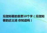 见微知著的意思10个字（见微知著的近义词 你知道吗）