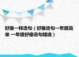 好像一样造句（好像造句一年级简单 一年级好像造句精选）