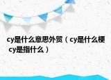 cy是什么意思外贸（cy是什么梗 cy是指什么）
