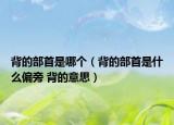 背的部首是哪个（背的部首是什么偏旁 背的意思）