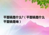 平面镜是什么?（平面镜是什么 平面镜是啥）